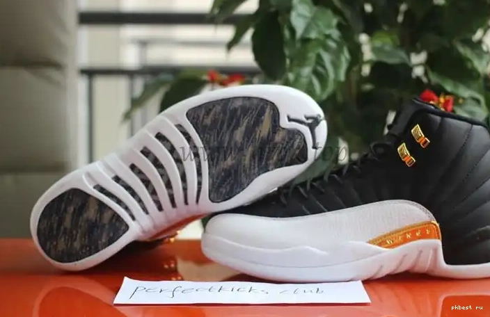 Air Retro Wings Jordan 12 Authentic 0519